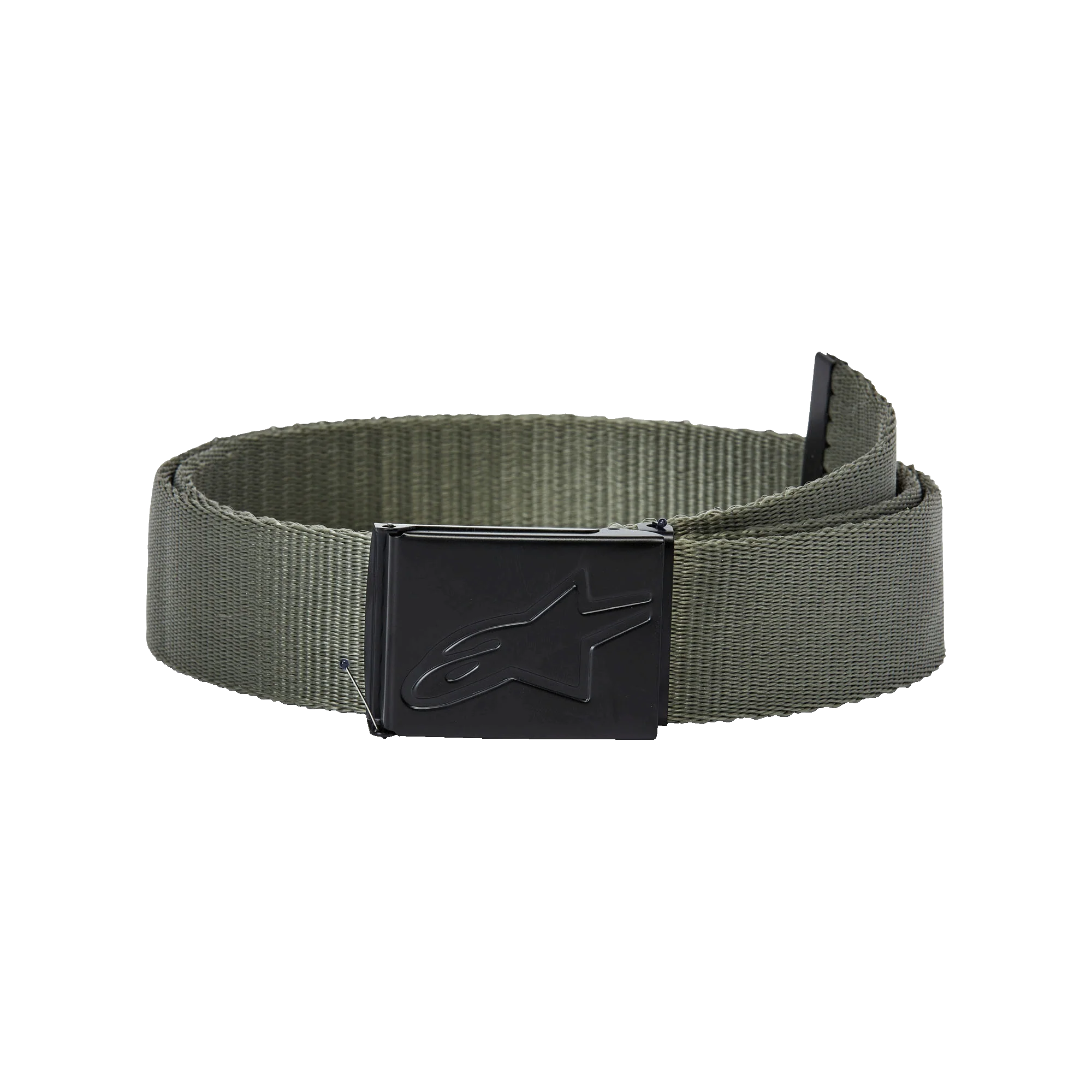 Ageless Web Belt